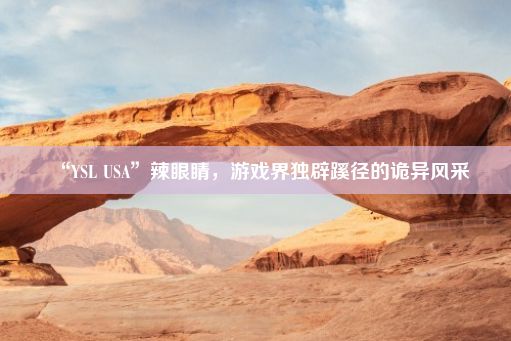 “YSL USA”辣眼睛，游戏界独辟蹊径的诡异风采