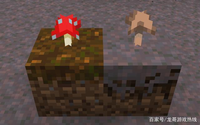 "狂野老外玩转Minecraft！蘑菇潮流引领者，时尚界的新风暴！"