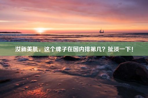 汝新美肌，这个牌子在国内排第几？扯淡一下！