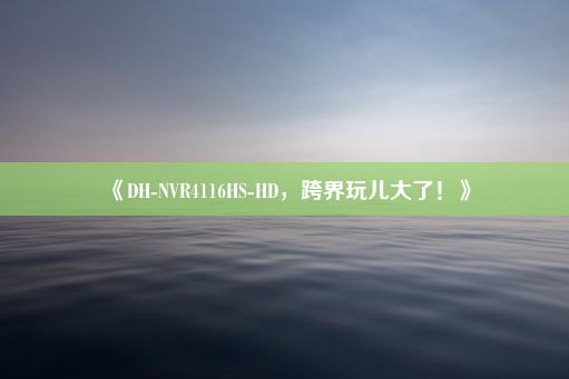 《DH-NVR4116HS-HD，跨界玩儿大了！》