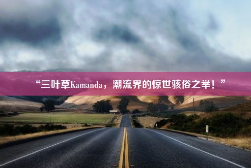 “三叶草Kamanda，潮流界的惊世骇俗之举！”