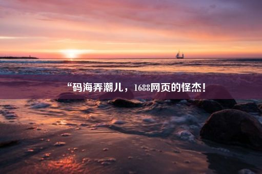 “码海弄潮儿，1688网页的怪杰！