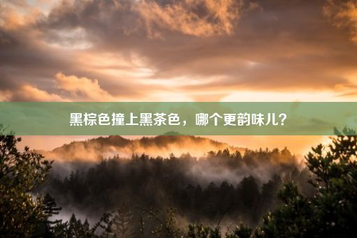 黑棕色撞上黑茶色，哪个更韵味儿？