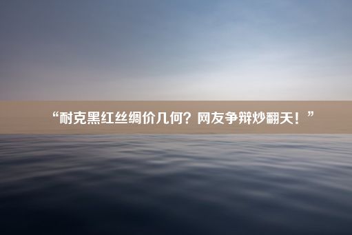 “耐克黑红丝绸价几何？网友争辩炒翻天！”