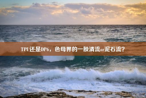 TPU还是DP6，色母界的一股清流or泥石流？