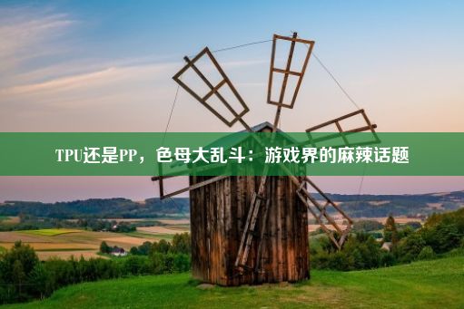 TPU还是PP，色母大乱斗：游戏界的麻辣话题