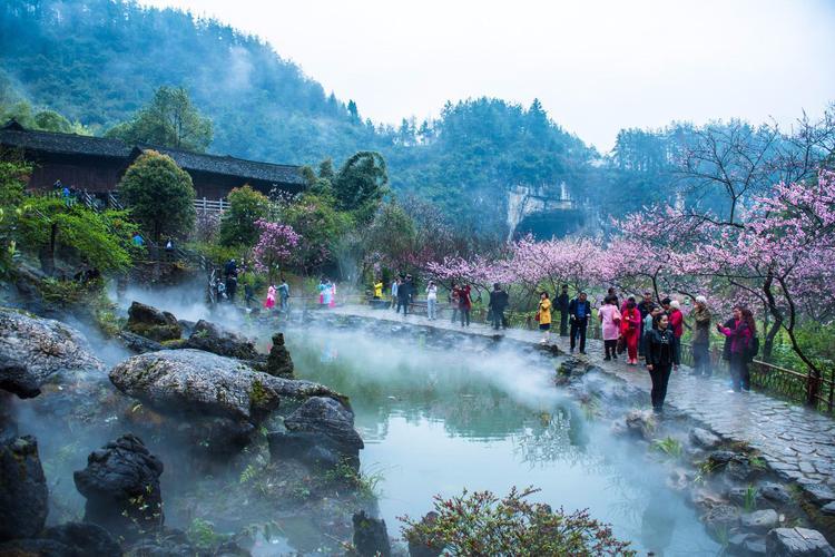 《误入“嘲潮”的桃花源：科技版“辣眼”之旅》