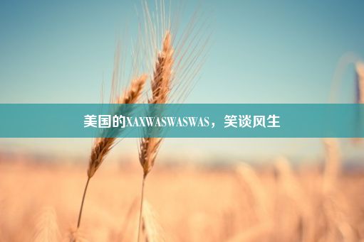 美国的XAXWASWASWAS，笑谈风生