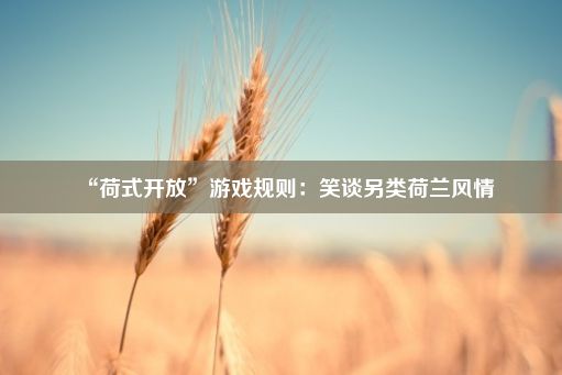 “荷式开放”游戏规则：笑谈另类荷兰风情