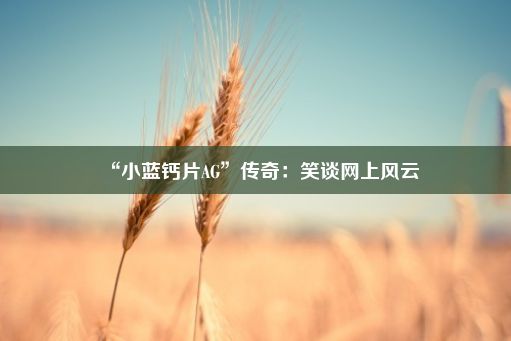 “小蓝钙片AG”传奇：笑谈网上风云