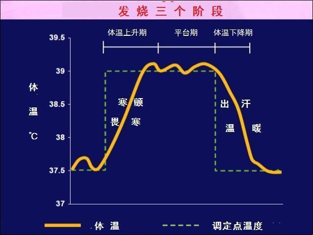 "热辣年上，新星崛起：幽默界的炸子鸡"