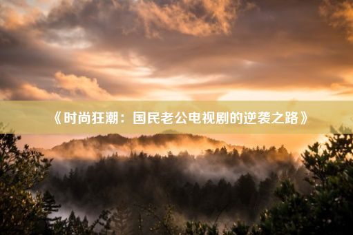 《时尚狂潮：国民老公电视剧的逆袭之路》