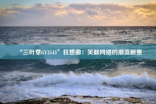 “三叶草GY3543”狂想曲：笑翻网络的潮流新贵