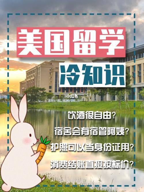 留学美国：一场梦幻之旅？