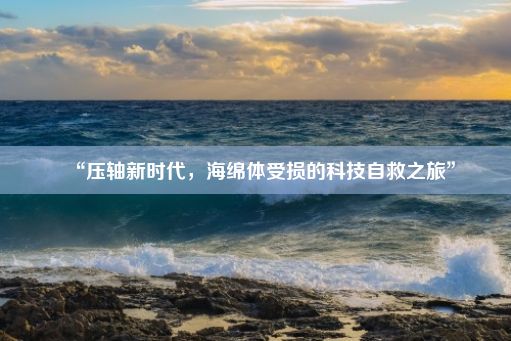 “压轴新时代，海绵体受损的科技自救之旅”