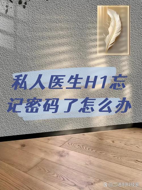 密码遗忘大作战：私人医生H1的逆袭之路