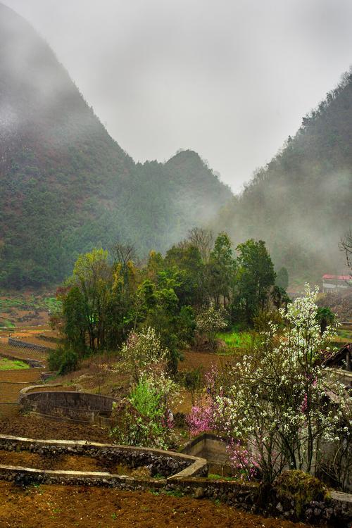 山村春色，时代笑柄