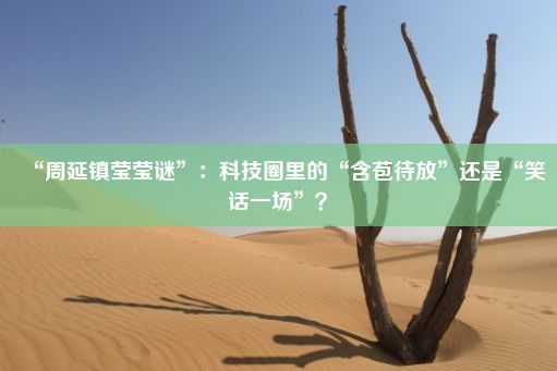 “周延镇莹莹谜”：科技圈里的“含苞待放”还是“笑话一场”？