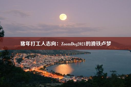 猪年打工人志向：ZoomDog2021的滑铁卢梦