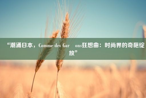 “潮涌日本，Comme des Garçons狂想曲：时尚界的奇葩绽放”