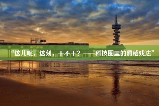 “这儿呢，这刻，干不干？——科技圈里的滑稽戏法”