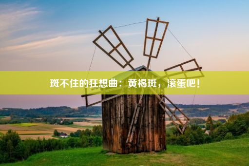 斑不住的狂想曲：黄褐斑，滚蛋吧！