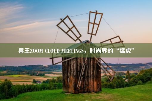 兽王ZOOM CLOUD MEETINGS，时尚界的“猛虎”