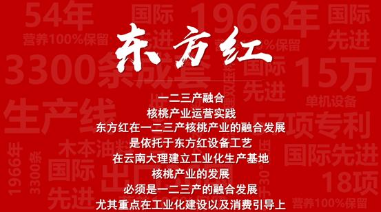 "一、二、三产区的文化熔炉：网友热议的疯狂焦点"