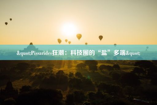 "Pissarides狂潮：科技圈的“盐”多端"