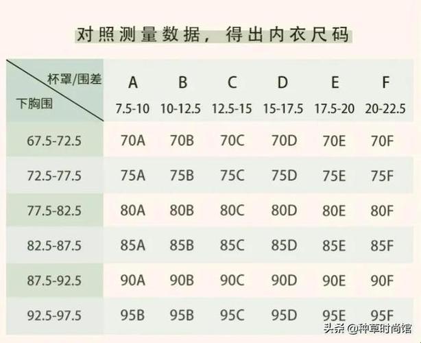 “欧码97，中国尺码几何？网民热议，笑谈胸围新焦点”