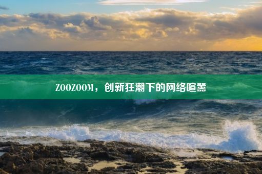 ZOOZOOM，创新狂潮下的网络喧嚣