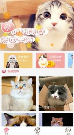 "喵星新域探险：猫奴们的'突破极限'手册"