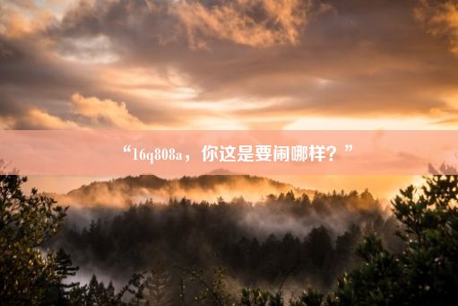 “16q808a，你这是要闹哪样？”