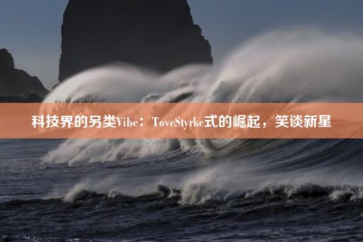 科技界的另类Vibe：ToveStyrke式的崛起，笑谈新星