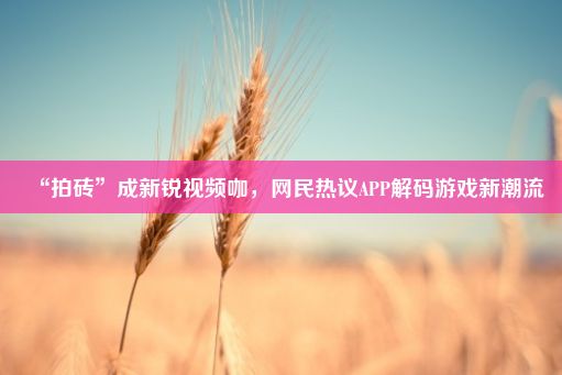 “拍砖”成新锐视频咖，网民热议APP解码游戏新潮流