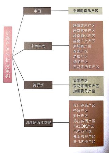 “一线二线沉香游戏，产区新星崛起的讽刺独白”