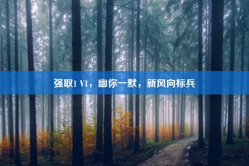 强取1 V1，幽你一默，新风向标兵