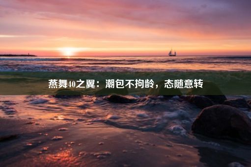 燕舞40之翼：潮包不拘龄，态随意转