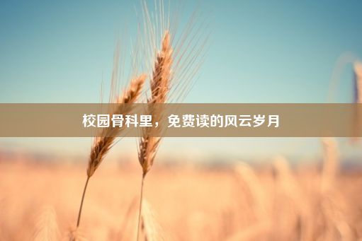 校园骨科里，免费读的风云岁月