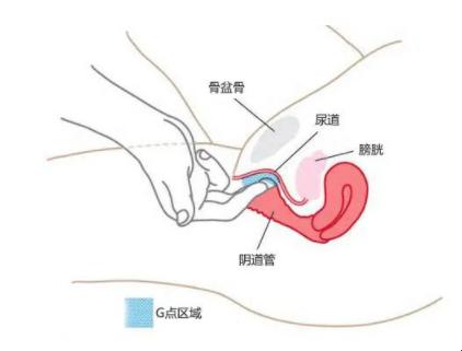 "变泉奇谋：喷泉变身记，笑谈网络风云"