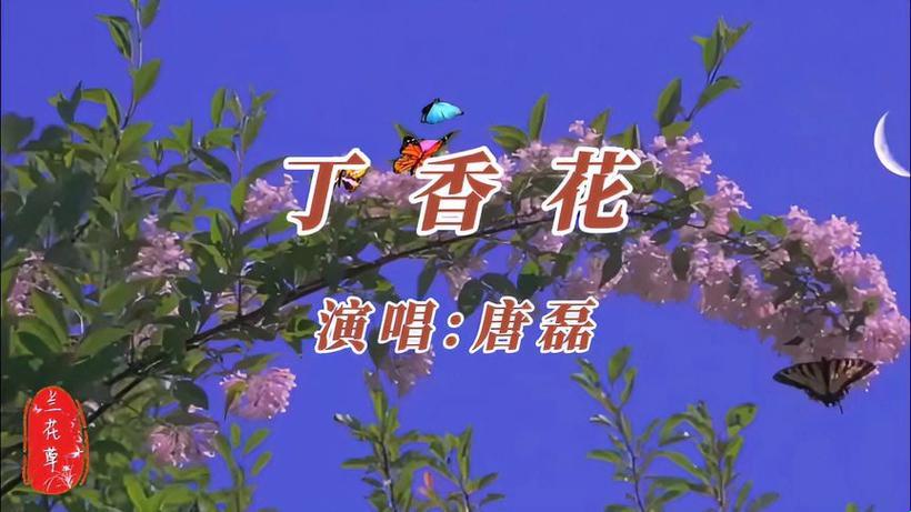 独领风骚，时尚界的“丁香花”狂想曲