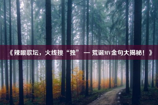 《辣眼歌坛，火线挑“独” — 荒诞MV金句大揭秘！》