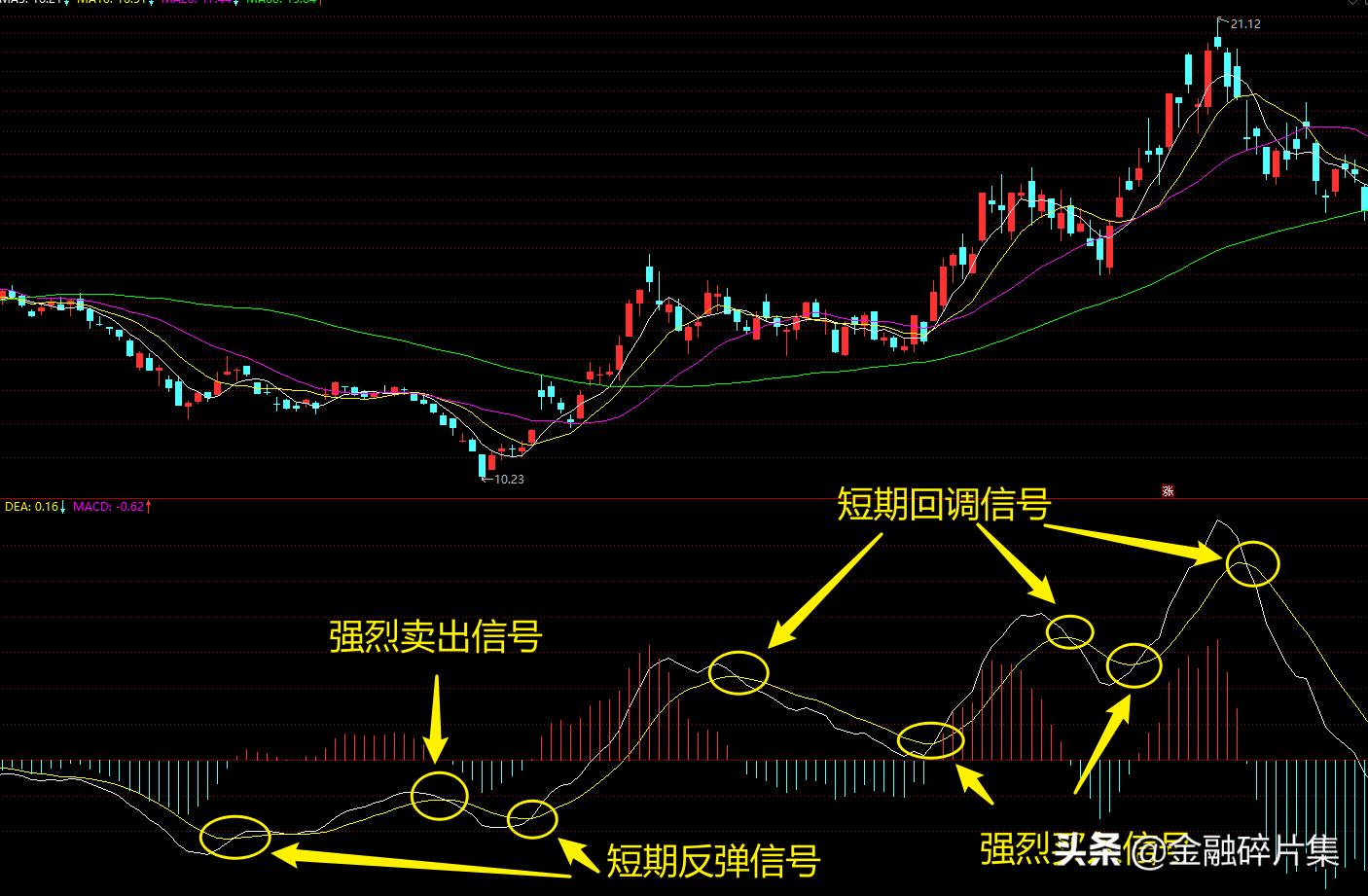 “K线图MACD指标详解图解”：网民热议下的科技狂潮