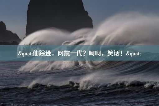 "仙踪迹，网震一代？呵呵，笑话！"