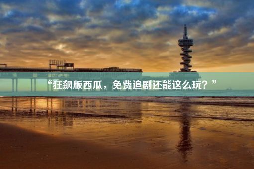 “狂飙版西瓜，免费追剧还能这么玩？”