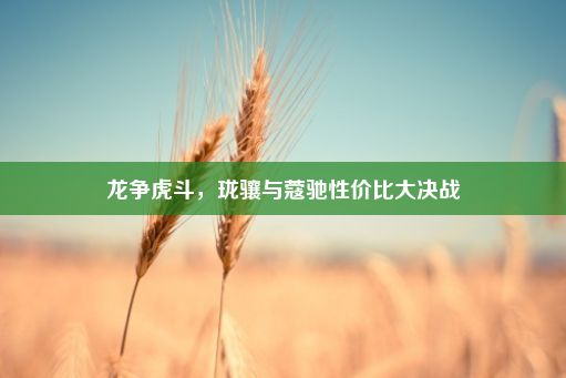 龙争虎斗，珑骧与蔻驰性价比大决战