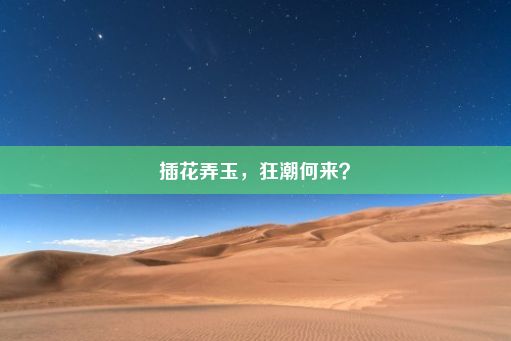 插花弄玉，狂潮何来？