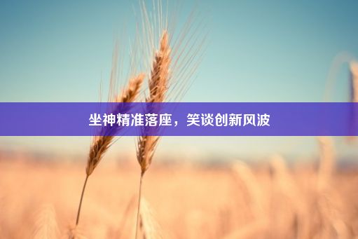 坐神精准落座，笑谈创新风波