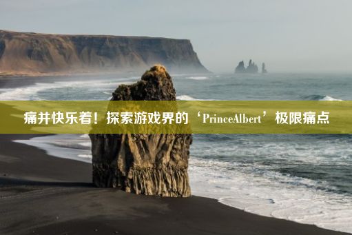 痛并快乐着！探索游戏界的‘PrinceAlbert’极限痛点