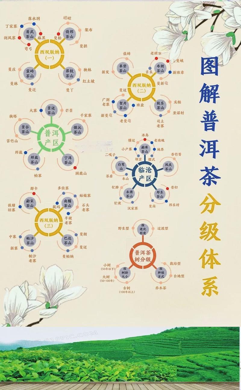 一、二、三，产区文化大杂烩，笑谈突破极限的疯癫人生